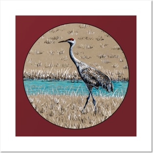 Sandhill Crane color ink drawing Posters and Art